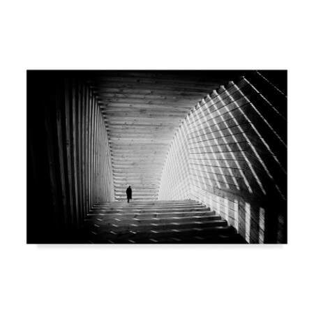 Trademark Fine Art 1X05869-C1219GG Fine Art, Multicolor